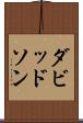 ダビッドソン Scroll