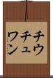 チウチュワン Scroll