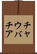 チャウバチア Scroll