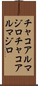 チャコアルマジロ Scroll