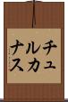 チュルカナス Scroll