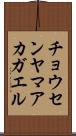 チョウセンヤマアカガエル Scroll