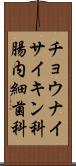 チョウナイサイキン科 Scroll
