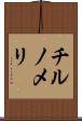 チルノメリ Scroll