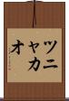 ツニャカオ Scroll