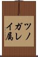 ツノガレイ属 Scroll