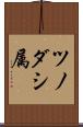 ツノダシ属 Scroll