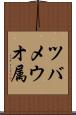 ツバメウオ属 Scroll