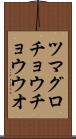 ツマグロチョウチョウウオ Scroll