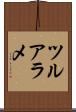 ツルアラメ Scroll