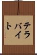 テラバイト Scroll