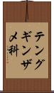 テングギンザメ科 Scroll