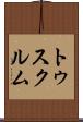 トゥスクルム Scroll
