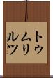 トゥムリルツ Scroll