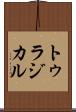 トゥラジカル Scroll