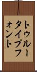 トゥルータイプフォント Scroll