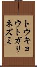 トウキョウトガリネズミ Scroll
