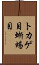 トカゲ目 Scroll