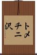 トメチニ沢 Scroll