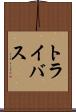 トライバス Scroll