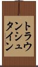 トラウンシュタイン Scroll