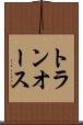 トランオース Scroll