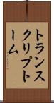 トランスクリプトーム Scroll