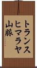 トランスヒマラヤ山脈 Scroll
