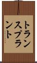 トランスプラント Scroll