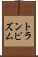 トランピズム Scroll