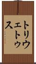 トリウェトゥス Scroll