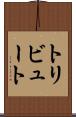 トリビュート Scroll