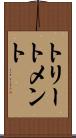 トリートメント Scroll