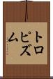 トロピズム Scroll