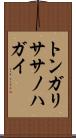 トンガリササノハガイ Scroll