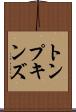 トンプキンズ Scroll