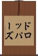 ドロッパーズ Scroll