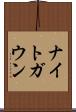 ナイトガウン Scroll