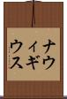 ナウィギウス Scroll