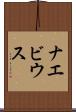 ナエビウス Scroll