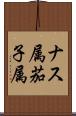 ナス属 Scroll
