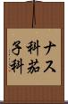 ナス科 Scroll