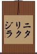 ニタリクジラ Scroll