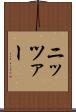 ニッツァー Scroll