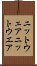 ニットウェア Scroll