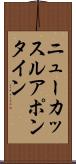 ニューカッスルアポンタイン Scroll
