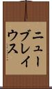 ニューブレイウス Scroll