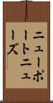 ニューポートニューズ Scroll