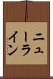 ニューライン Scroll