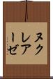 ヌクレアーゼ Scroll